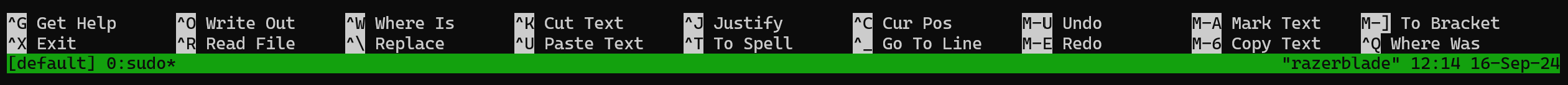 Nano Editor